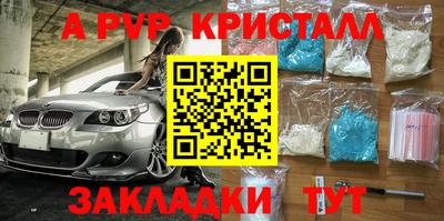 шишки Партизанск