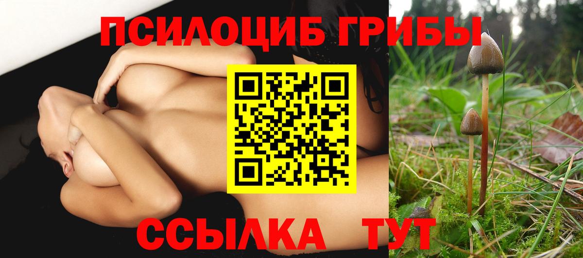 Галлюциногенные грибы Psilocybe  Вход с VPN  Новомосковск 