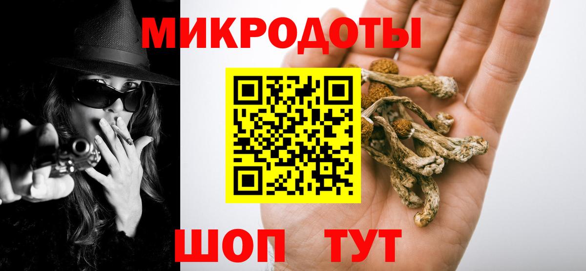 Псилоцибиновые грибы мухоморы Новомосковск